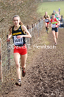 Girls under-15s, 2020 British Athletics Inter Counties Cross Country Champs., Prestwold Hall, Loughborough. Photo: David T. Hewitson/Sports for All Pics
